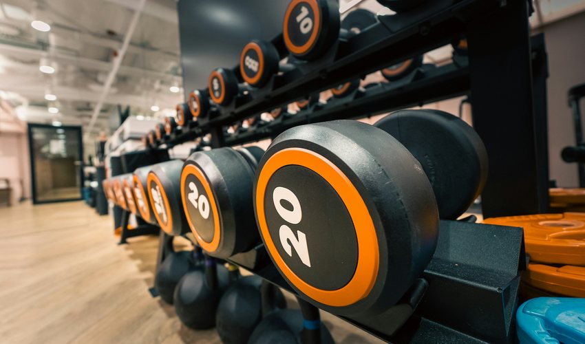 Rows of dumbbells on a rack in a bright gym